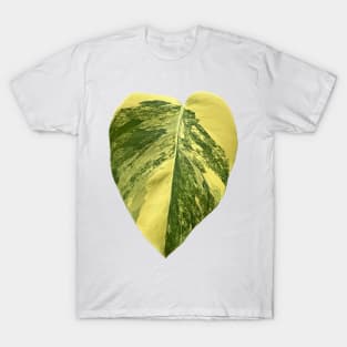 Colorful Variegated Monstera Deliciousa Aurea Design T-Shirt